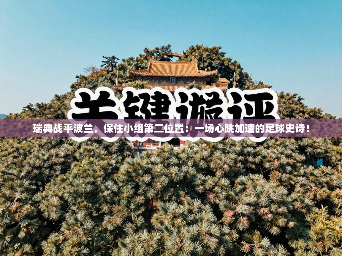 瑞典战平波兰,保住小组第二位置:一场心跳加速的足球史诗! 第2张