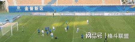 浙江2-3河南，申花3-2海港！西海岸2-0！足协杯8强出炉-中超占7席(足协杯申花今晚比赛结果)